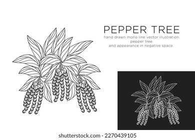 hand drawn monoline vector illustration.
pepper tree.
and appearance in negative space.