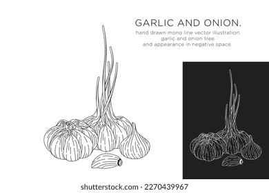hand drawn monoline vector illustration.
garlic and onion.
appearance in negative space.