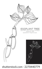 hand drawn monoline vector illustration.
eggplant tree.
appearance in negative space.