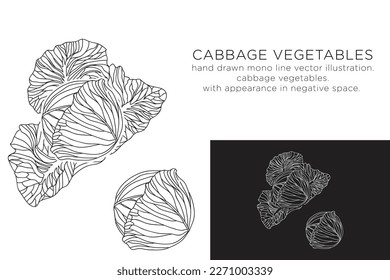 hand drawn monoline vector illustration.
cabbage vegetables.
with appearance in negative space.