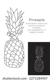 hand drawn monoline vector illustration.
pineaple.
with appearance in negative space.