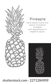 hand drawn monoline vector illustration.
pineaple.
with appearance in negative space.