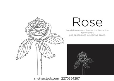 handgezeichnete Monoline, Vektorgrafik.Rosenblumen.
und das Aussehen im negativen Raum. 