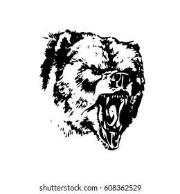 Hand drawn monotonous illustration of an Bear. Silhouette of an Bear in a natural environment. Vector illustration.