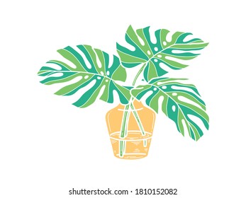 Hand drawn monstera. Indoor plant in a Jar. Scandinavian style illustration with monstera, modern and elegant home decor. Vector poster design.