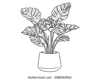 Hand drawn monstera. Indoor plant in a Jar. Scandinavian style illustration with monstera, modern and elegant home decor. Vector poster design.