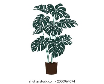 Hand drawn monstera. Indoor plant in a Jar. Scandinavian style illustration with monstera, modern and elegant home decor. Vector poster design.