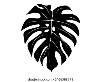 Hand drawn monstera leaf icon. Tropical plant vector illustration