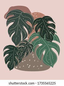 hand drawn monstera leaf vector minimalist style