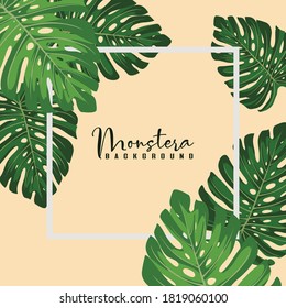 Hand drawn monstera leaves frame background
