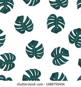 Hand drawn monstera leaves pattern. Tropical leaf background. Vector isolated foliage  wallpaper illustration. Texture for wrapping paper or textile.