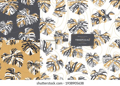 hand drawn monstera leaves pattern collection