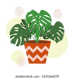 Hand drawn monstera leaves or swiss cheese plants in a ceramic pot. Isolated house plants for interior background.