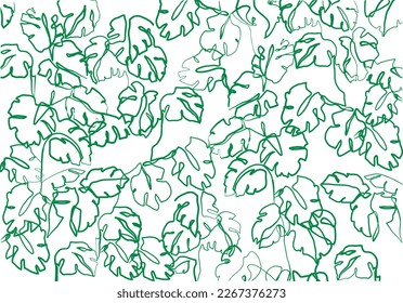 Patrón de monstera dibujado a mano. Dibujo de la jungla.
Monstera deja ilustración. Hojas tropicales dibujadas en una línea continua. Patrón de planta verde vectorial.