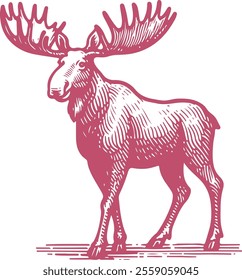 Hand Drawn Moose Drawing Vector