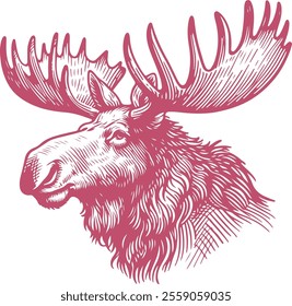 Hand Drawn Moose Sketch Vector