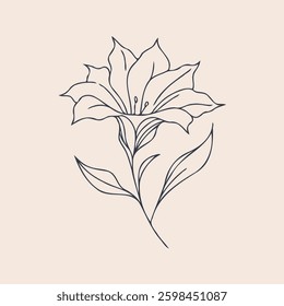 Hand drawn Morning Glory sketch, bluebell buds flower, leaf, set of bell flowers vector, illustration outline drawing, botanical black and white line art, lineart leaves and stems in engraving style