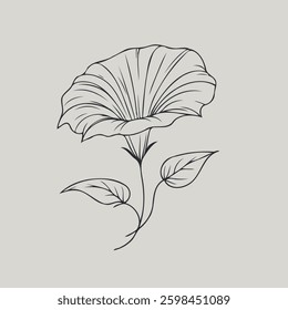 Hand drawn Morning Glory sketch, bluebell buds flower, leaf, set of bell flowers vector, illustration outline drawing, botanical black and white line art, lineart leaves and stems in engraving style