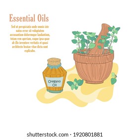 Hand Drawn Mortar with Oregano Herbal and Vial with Oregano Essential Oil. Isolated Composition in Old Fashioned Vector Illustration for Cosmetics, Culinary and Health Products.