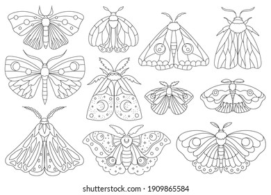 Hand drawn moth collection. Boho elements with butterflies for decoration. Mystery symbols. Perfect for baby shower, birthday, party decor, clothing prints, greeting cards, tattoo print