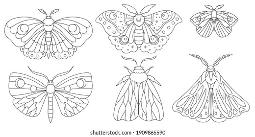 Hand drawn moth collection. Boho elements with butterflies for decoration. Mystery symbols. Perfect for baby shower, birthday, party decor, clothing prints, greeting cards, tattoo print