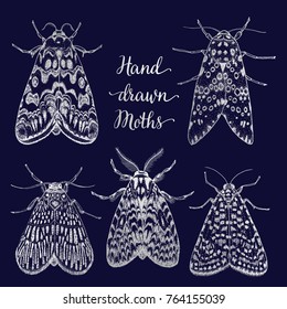 Hand drawn moth set. Chalk hand drawn moths on dark background. Animals in vintage style. Isolated vector illustration for poster, card, t-shirt, tattoo design