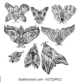 Hand drawn moth set with ornament lines. Design tattoo art. Isolated vector illustration. Trendy Vintage element. Dark romance, philosophy, spirituality, occultism, alchemy, death, magic.