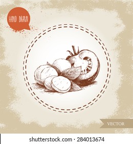 Hand drawn mozzarella cheese with basil leafs and half of tomato. Caprese salad ingredients. Vector organic food illustration. Vintage design.