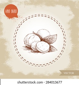 Hand drawn mozzarella cheese with basil leafs. Vector organic food illustration. Vintage design.