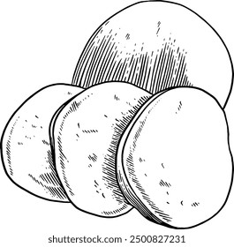 Hand drawn Mozzarella Cheese Sketch Illustration