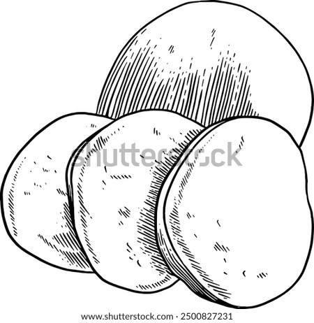 Hand drawn Mozzarella Cheese Sketch Illustration