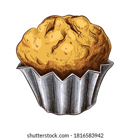 Handgezeichneter Muffin einzeln auf Weiß. farbige Skizze mit frischem Muffin im Vintage-Stil. Gravierte Konditorei-Illustration. Süßer Dessert, Kuchen, Kekszeichnung für das Label-Logo, Bäckereimenü, Plakatdesign