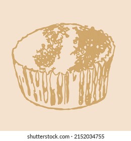 Hand drawn muffin vector illustration