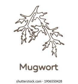 Hand drawn mugwort isolated on white background. Monochrome vector illustration in sketch style 