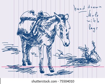 Hand drawn mule Vector. Visit my portfolio for big collection of doodles