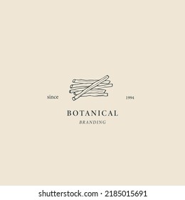 Hand drawn mulethi sticks logo
