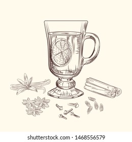 Hand drawn mulled wine vector illustration. Mulled wine glass, orange, cinnamon sticks, cloves, vanilla, anise, cardamom, ginger. Engraving style. 