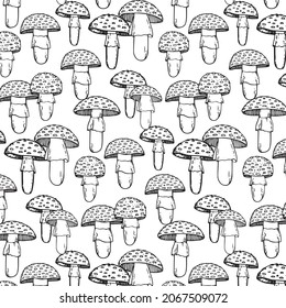 Hand Drawn  Mushooms pattern. Vector illustrations amanitas