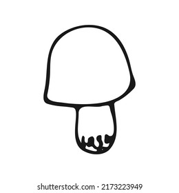 Hand drawn mushroom. Autumn mushroom in doodle style. Vector illustration.