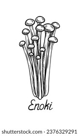 Hand drawn mushroom concept. Minimalistic sketch of enoki. Natural and organic product. Fall season and autumn fresh food. Linear flat vector illustration isolated on white background
