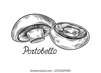 Hand drawn mushroom concept. Minimalistic sketch of portobello. Natural and organic product. Botany and agriculture. Linear flat vector illustration isolated on white background