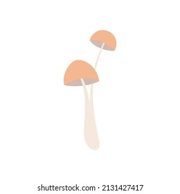 Elemento de hongos dibujado a mano para su diseño
