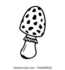 Mosca de seta dibujada a mano con agaric aislada en un fondo blanco. Doodle, simple ilustración de contorno. Se puede usar para la decoración de textiles, papel.