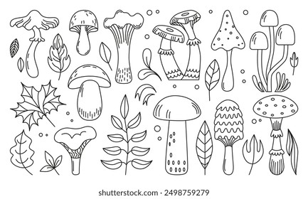 Hand drawn mushroom. Forest mushrooms leaves linear elements. Autumn seasonal doodle objects. Toadstools fly agaric flat neoteric vector set