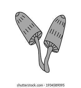 Hand drawn mushroom illustration. Vector autumn forest plants sketches. Perfect for recipe, menu, label, icon. Botanical set of mushrooms outlines