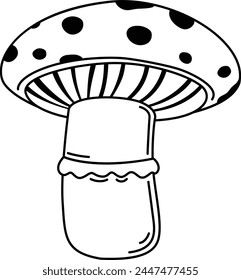 Hand drawn mushroom illustration, vector