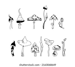 Hand drawn mushroom isolated clip art bundle, outline poisonous fungi - fly agaric, amanita, toadstool in black and white line, vector illustrations