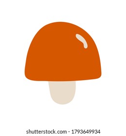  Hand drawn mushroom isolated on white background. Red hat and white base.