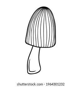 Hand drawn mushroom isolated on a white background. Doodle, simple outline illustration. It can be used for decoration of textile, paper.
