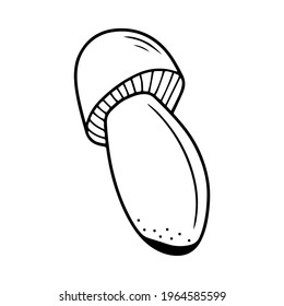 Hand drawn mushroom isolated on a white background. Doodle, simple outline illustration. It can be used for decoration of textile, paper.